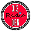 313 DBN Radio